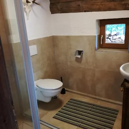 Holiday home Rainer-heimalm Dorfgastein